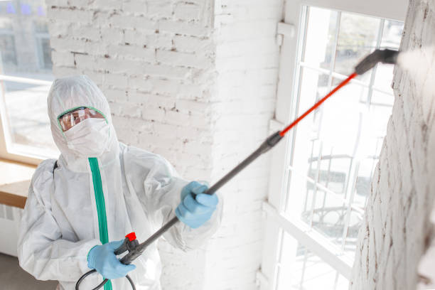 Best Industrial Mold Remediation  in Waialua, HI