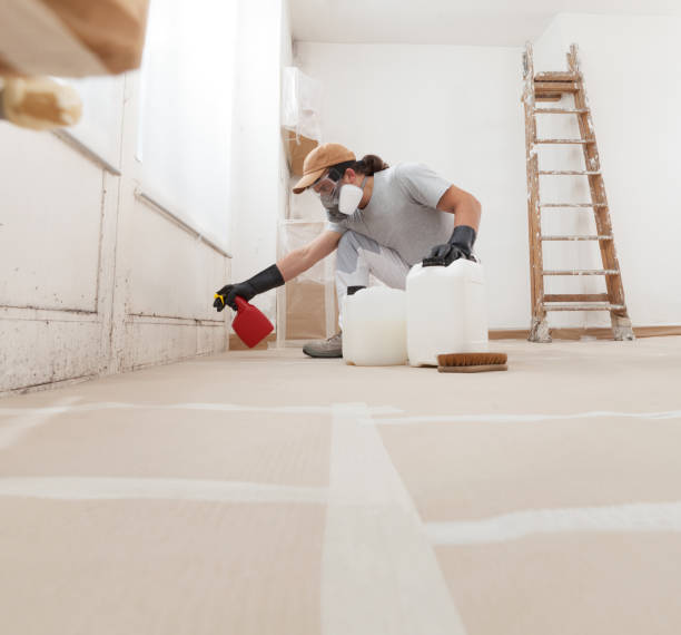 Best Emergency Mold Remediation  in Waialua, HI
